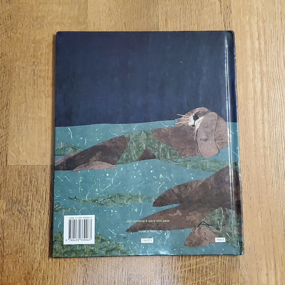 One Nighttime Sea Book‎ by Deborah Lee Rose Hardcover Counting Book